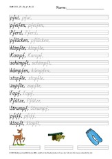 DSS_2S_Bu_pf_Nr_02.pdf